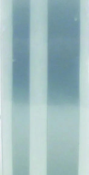 Quattroerre Kaksiraitainen Teippi Hopea 11mm